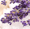 Aceite Esencial de Lavandin