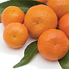 Aceite Esencial de Mandarina