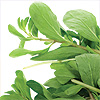 Aceite Esencial de Mejorana