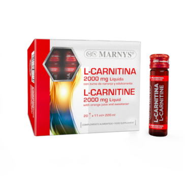 MNV800 - L-Carnitina Líquida 2000 mg