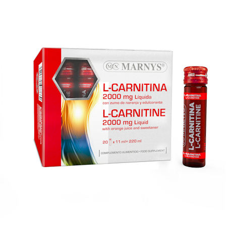 MNV800 L-Carnitina Líquida 2000 mg
